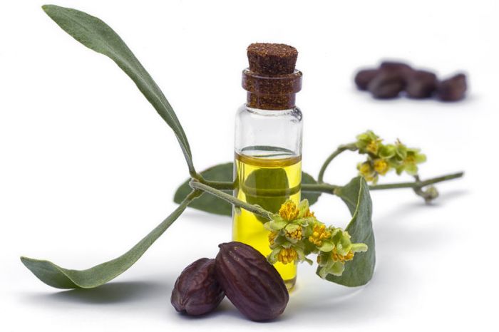 Why Jojoba oil is a must-have?
